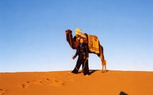 Woops, it's not a horse! In the Sahara, Morocco.
